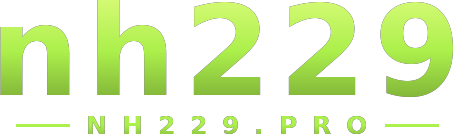 nh229 logo